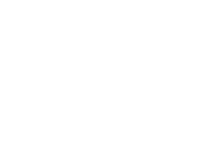Logo Grupo Inexo Negativo 300x211